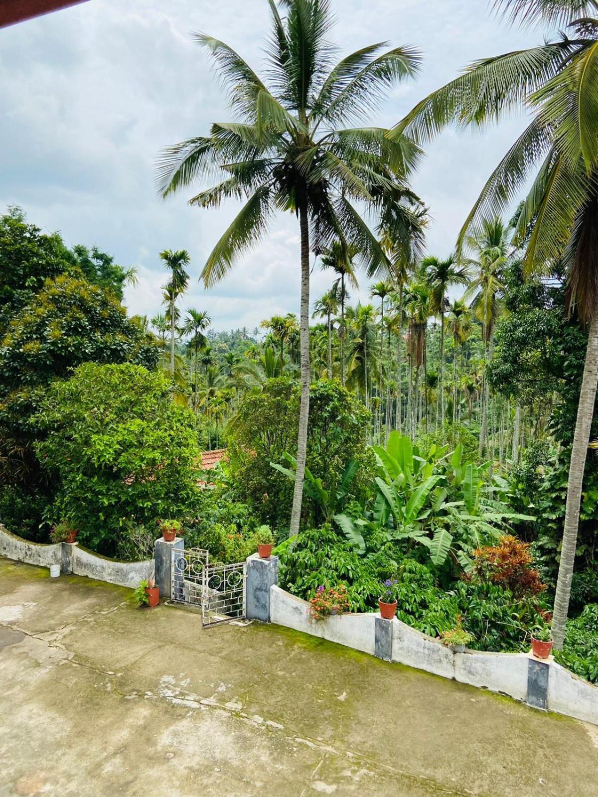 Wayanad Palm Grove Retreat G Floor Appartement Sultan Bathery Buitenkant foto